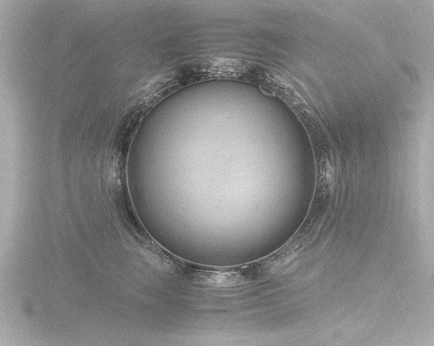 X0000116780663200912171532