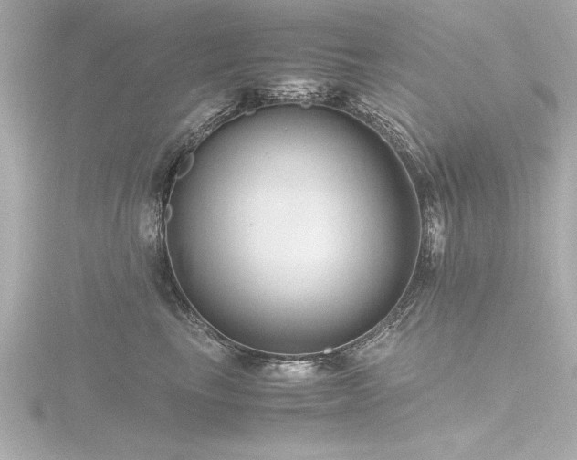 X0000116780665200912171533
