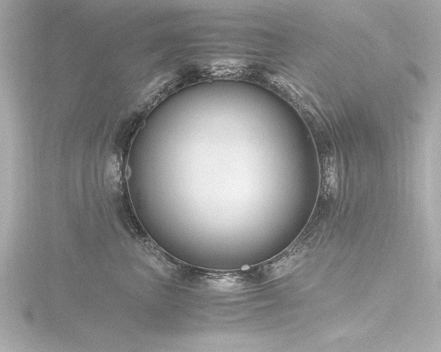 X0000116780667200912171533