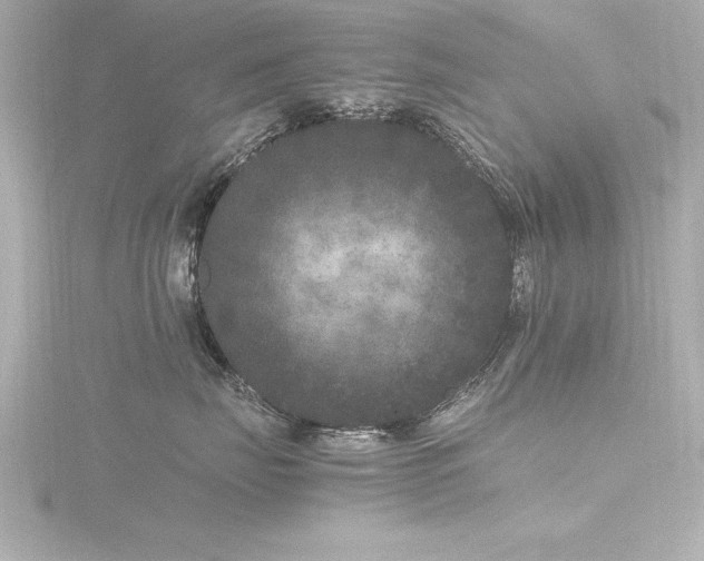 X0000116780671200912171533
