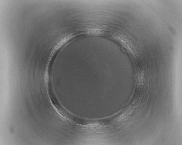 X0000116780674200912171532