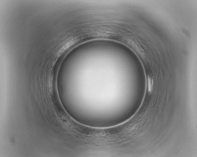 X0000116780675200912171532