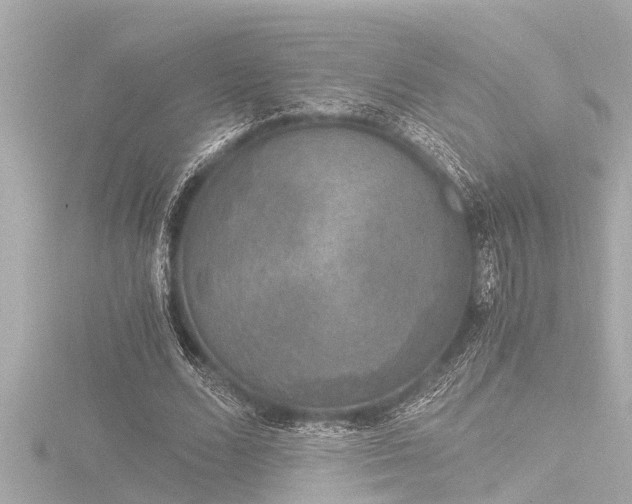 X0000116780680200912171532