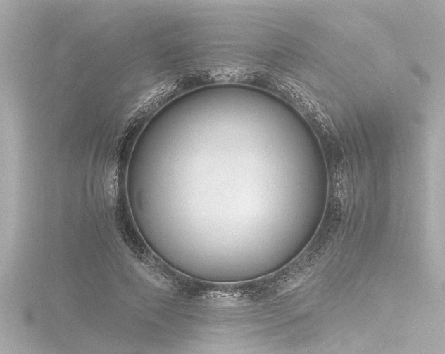 X0000116780690200912171532