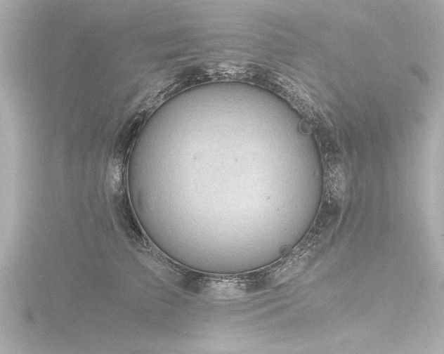 X0000116780709200912171532