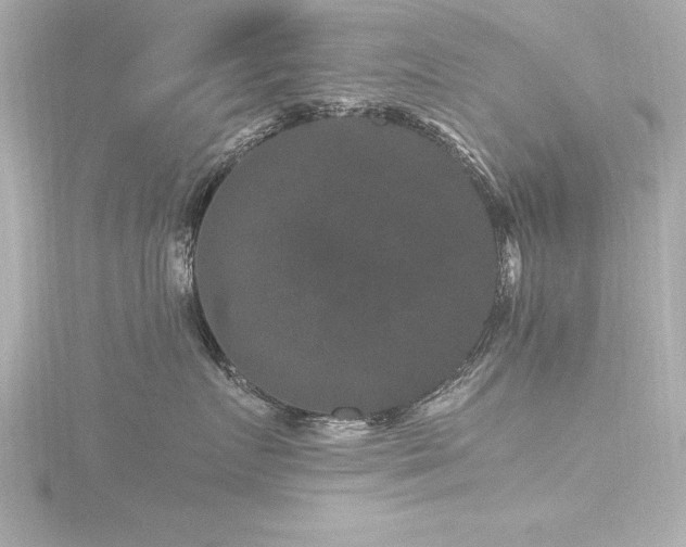 X0000116780719200912171531