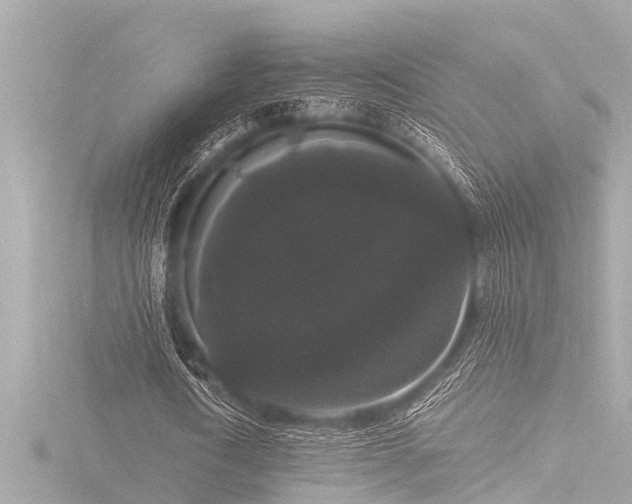 X0000116780722200912171531