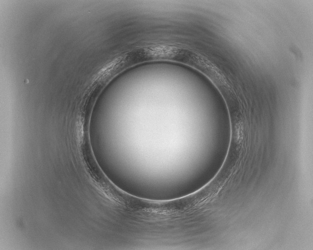 X0000116780733200912171531