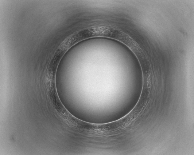 X0000116780737200912171531