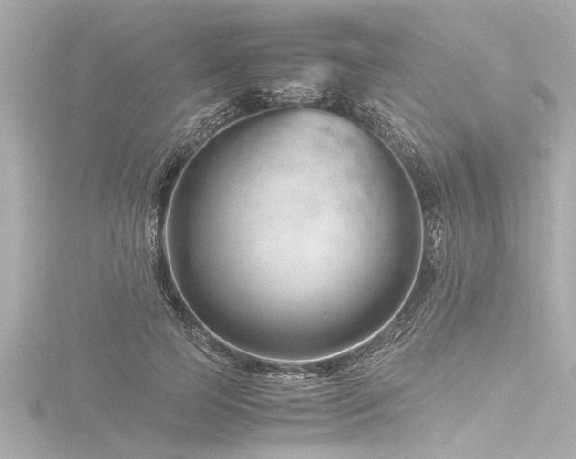 X0000116780745200912171531