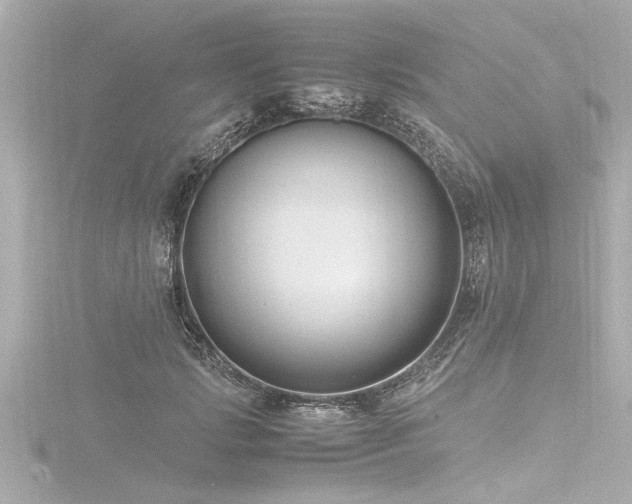 X0000116780749200912171531