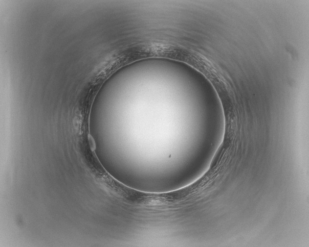 X0000116780750200912171531
