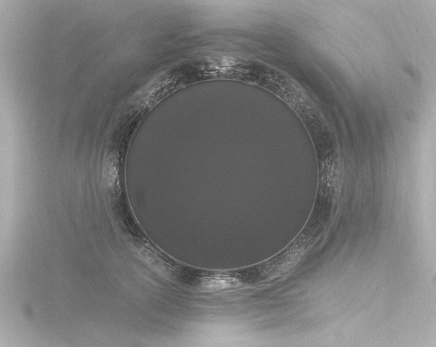 X0000116780754200912171531