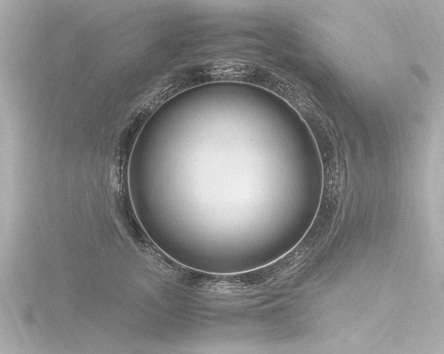 X0000116780755200912171531