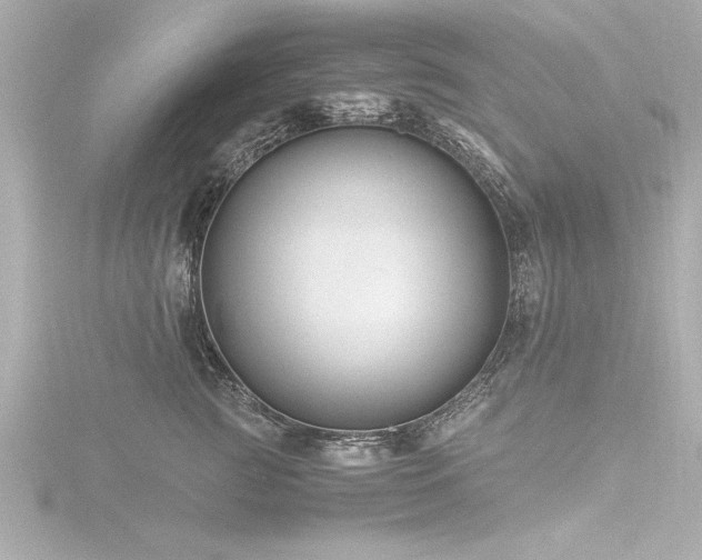X0000116780761200912171531