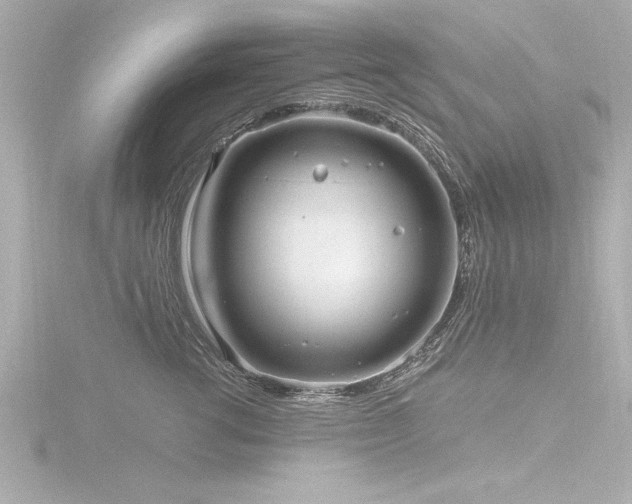 X0000116780762200912171531