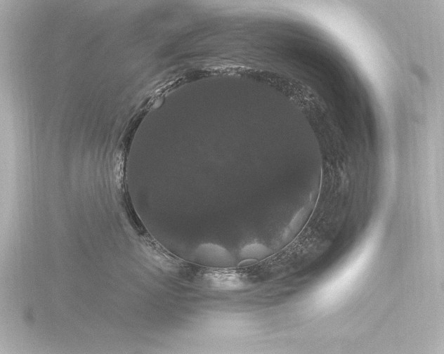 X0000116780767200912171531