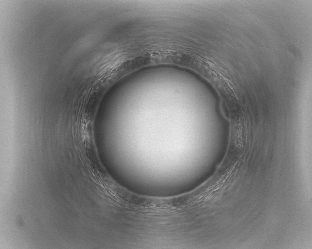 X0000116780770200912171531
