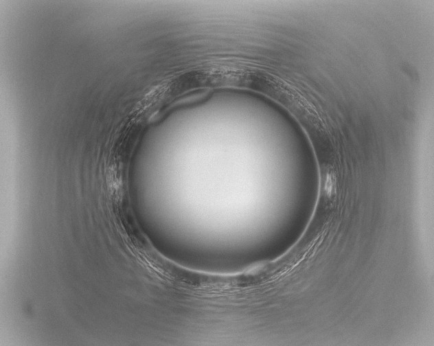 X0000116780771200912171531