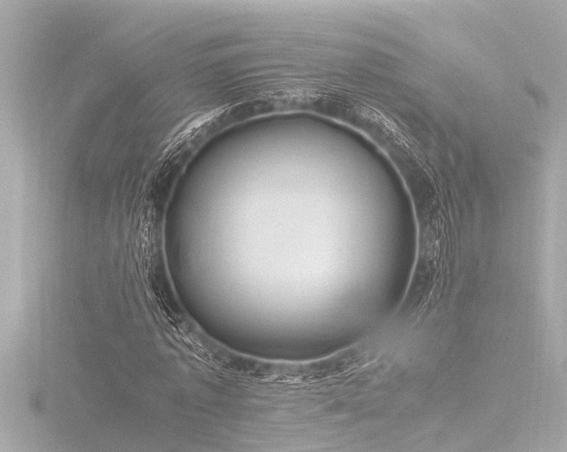 X0000116780773200912171531