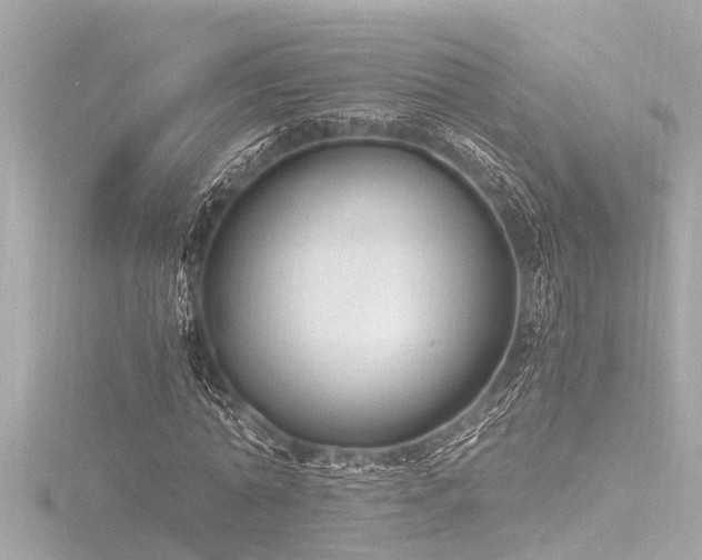 X0000116780774200912171531
