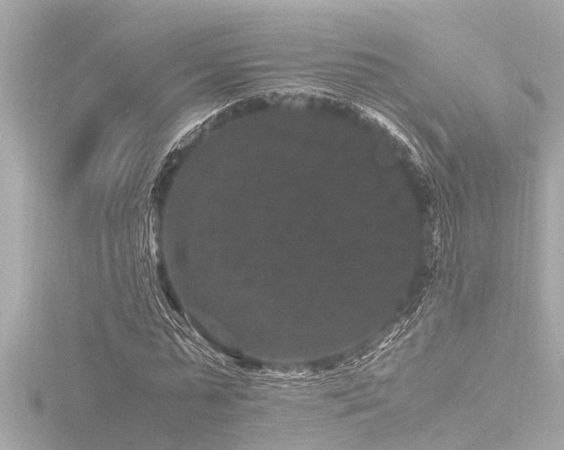 X0000116780775200912171531
