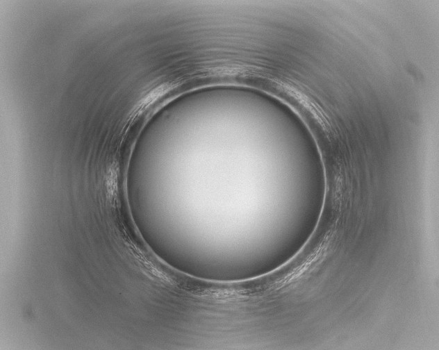 X0000116780778200912171531