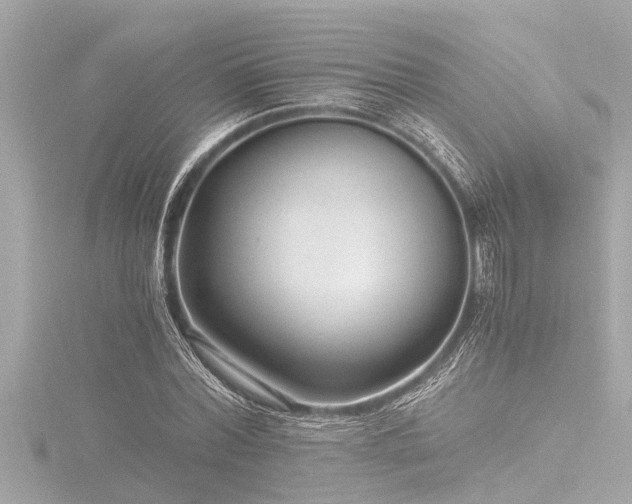 X0000116780780200912171531