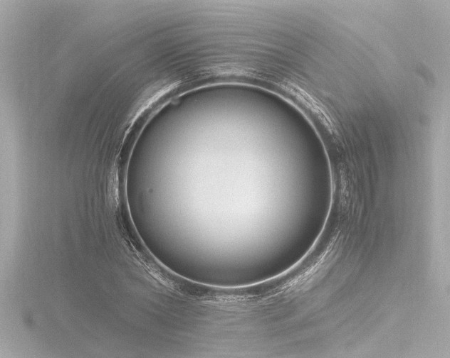 X0000116780782200912171531
