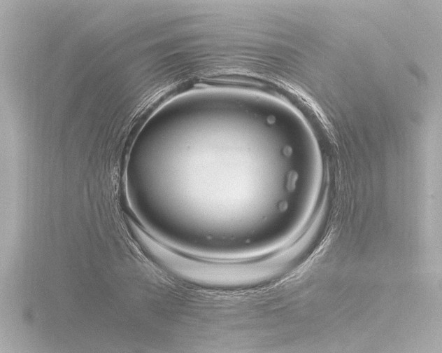 X0000116780785200912171531