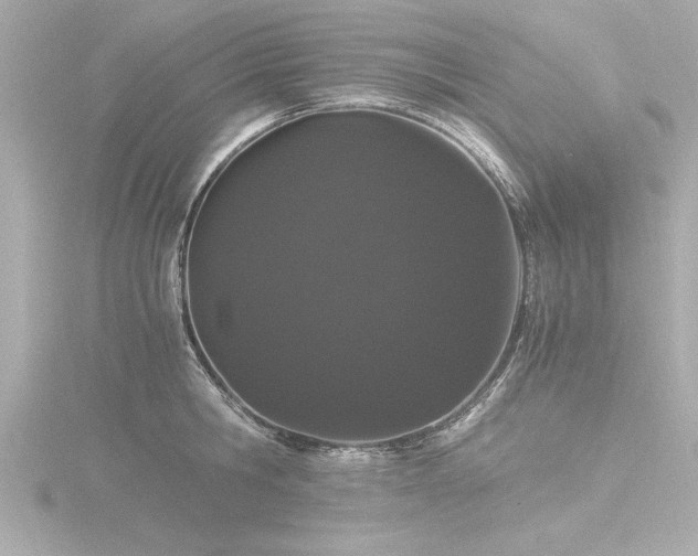 X0000116780806200912171530