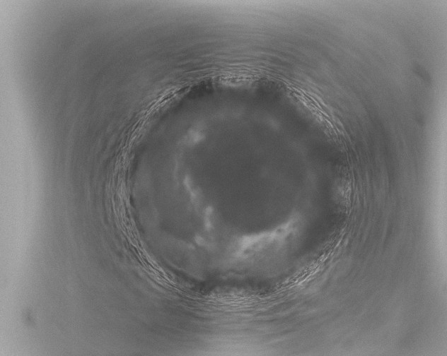 X0000116780817200912171530
