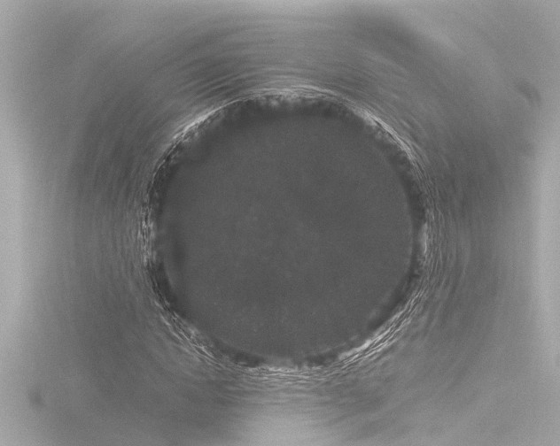 X0000116780822200912171530
