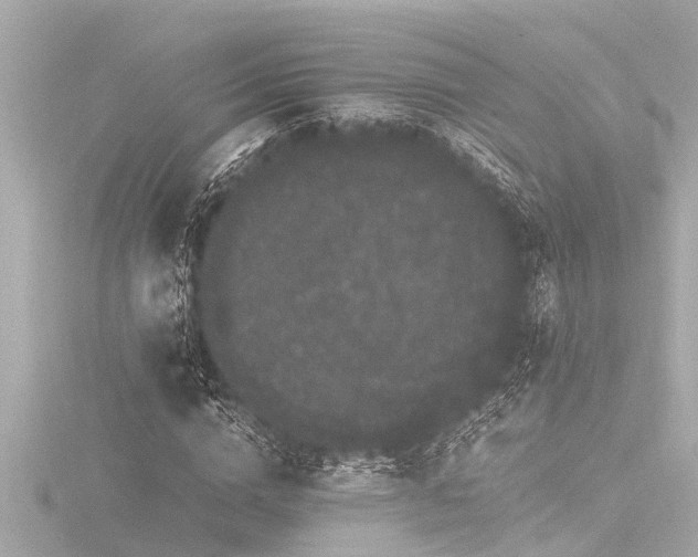 X0000116780824200912171530