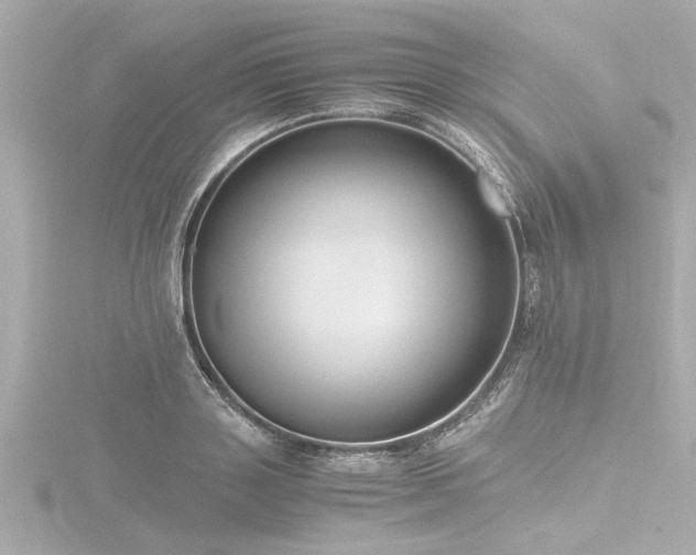 X0000116780843200912171530