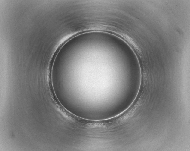 X0000116780846200912171530