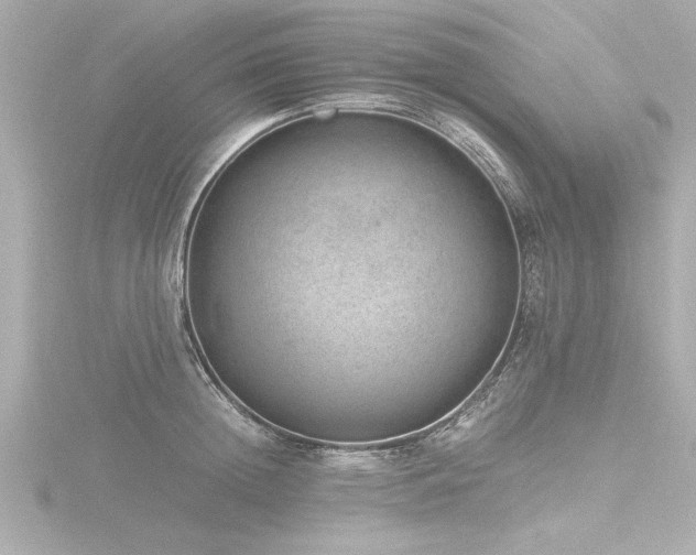 X0000116780852200912171530