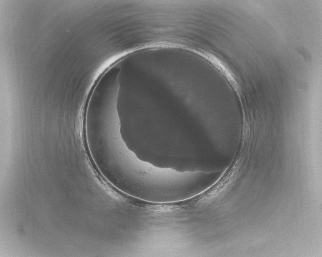 X0000116780862200912171530