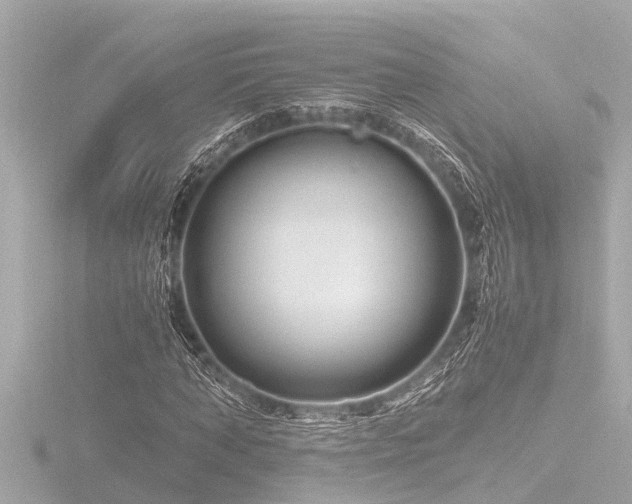X0000116780870200912171529