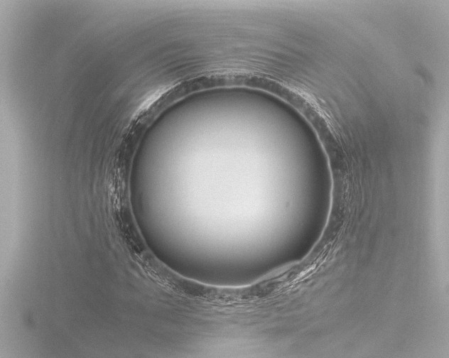 X0000116780871200912171529