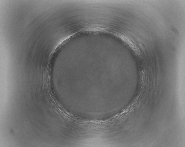 X0000116780872200912171529