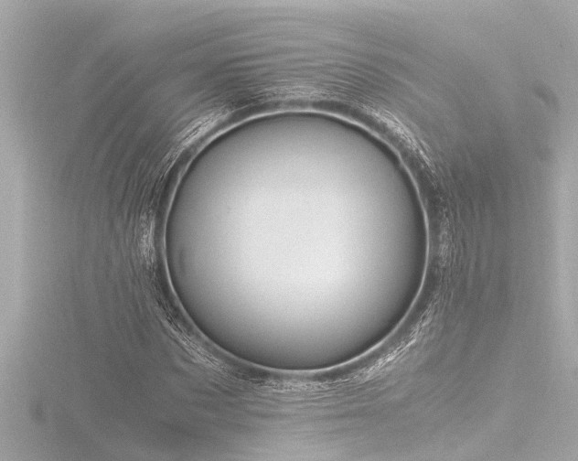 X0000116780873200912171529