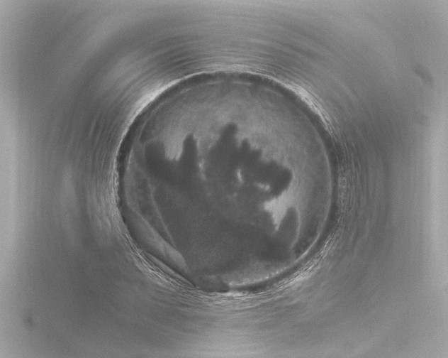 X0000116780879200912171529