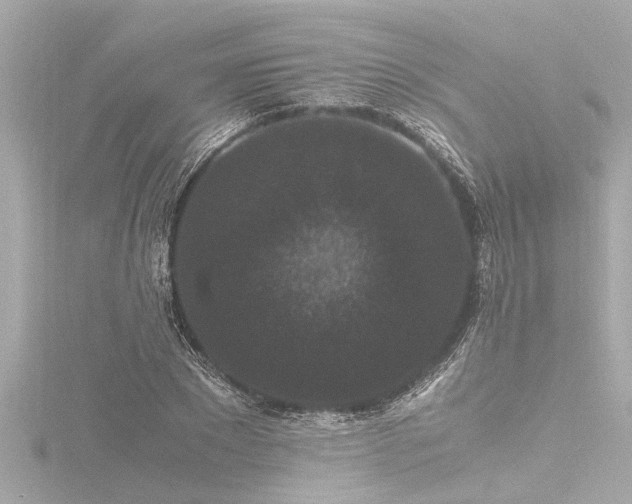 X0000116780881200912171529