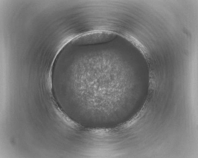 X0000116780892200912171529