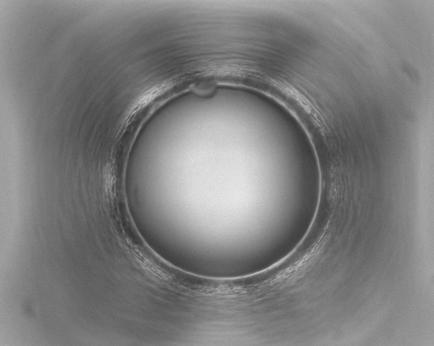 X0000116780922200912171528