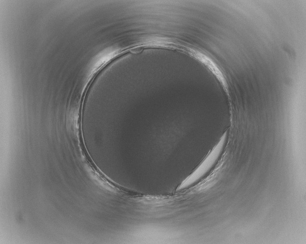 X0000116780954200912171529