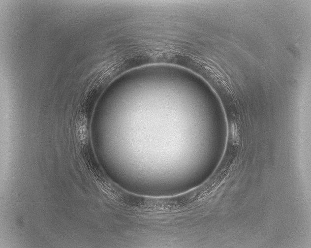 X0000116780963200912171528