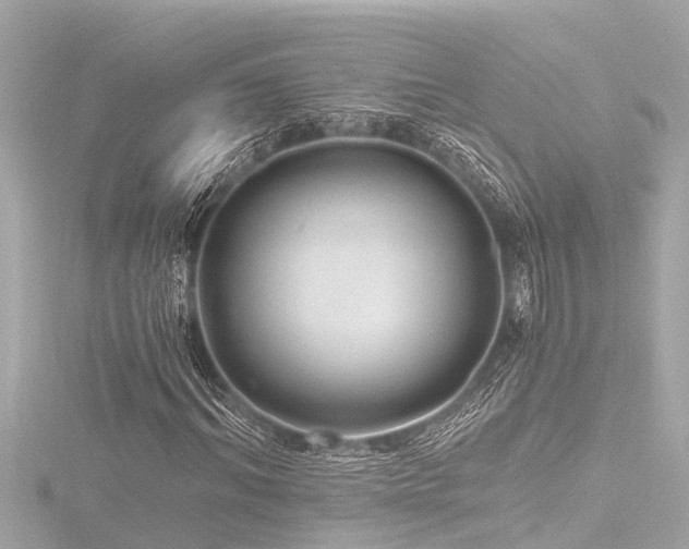 X0000116780964200912171528