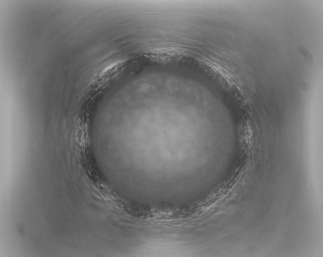 X0000116780965200912171528